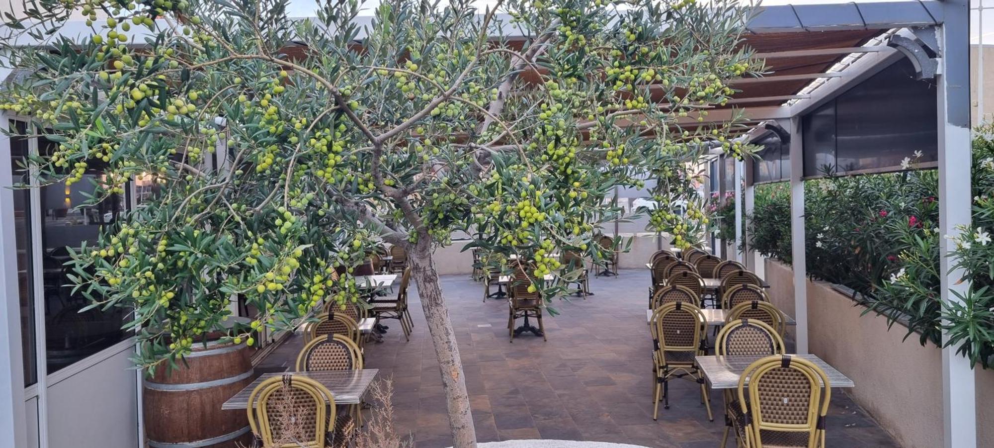 Hotel Restaurant Calypso Fos-sur-Mer Kültér fotó